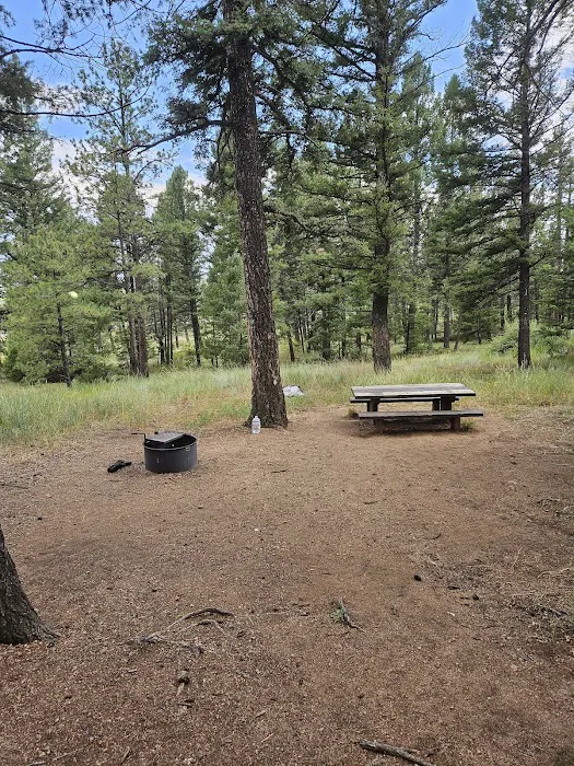 Kelsey Campground Picture 3