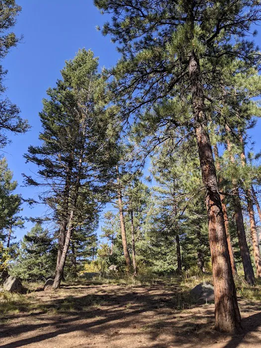 Kelsey Campground Picture 10
