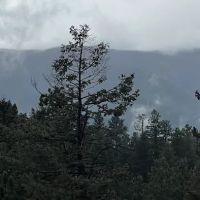 Rustic Creek Ranch ico