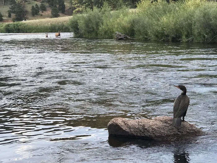 Platte River Campground Picture 5