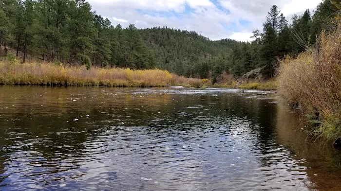 Platte River Campground Picture 2
