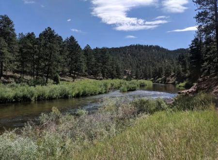 Platte River Campground