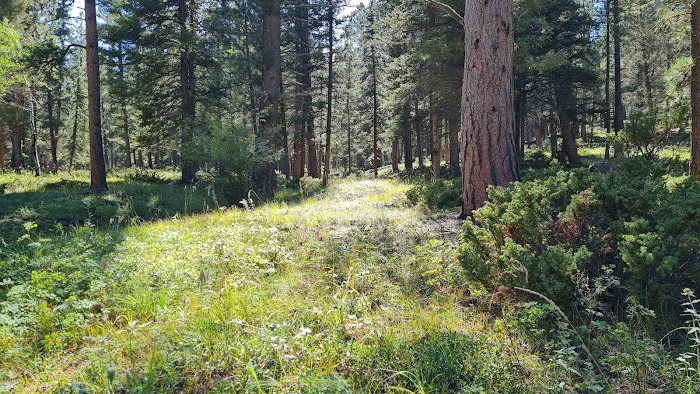 Green Mountain Campground Picture 1
