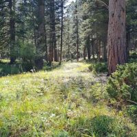 Green Mountain Campground ico