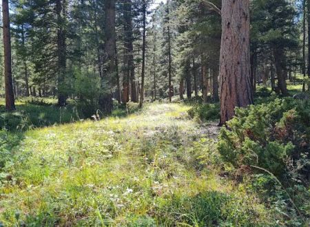 Green Mountain Campground