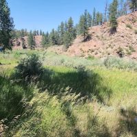 Bridge Crossing Picnic Area ico