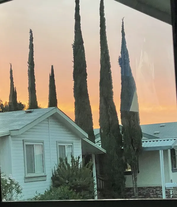 Cameron's Mobile Estates Picture 8