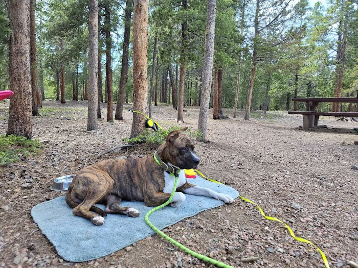 Columbine campground Picture 2