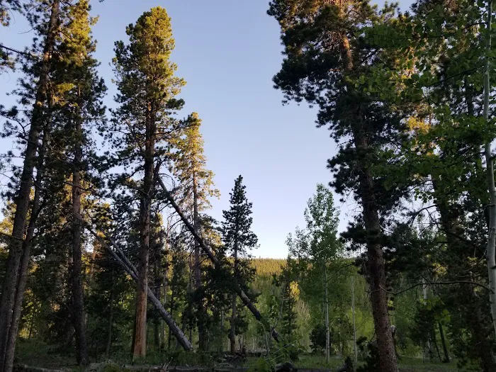 Columbine campground Picture 7