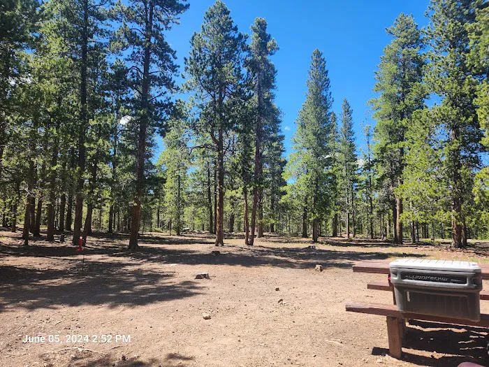Columbine campground Picture 9