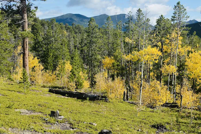 Kelly Dahl Campground Picture 2