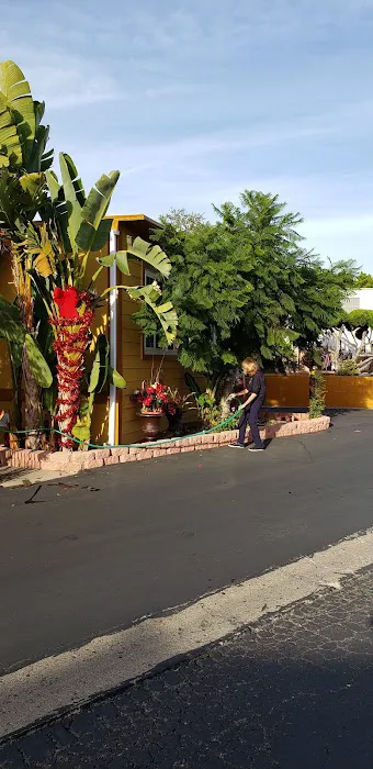 Palace Garden Mobile Home Park Picture 2