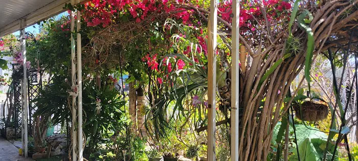 Palace Garden Mobile Home Park Picture 3