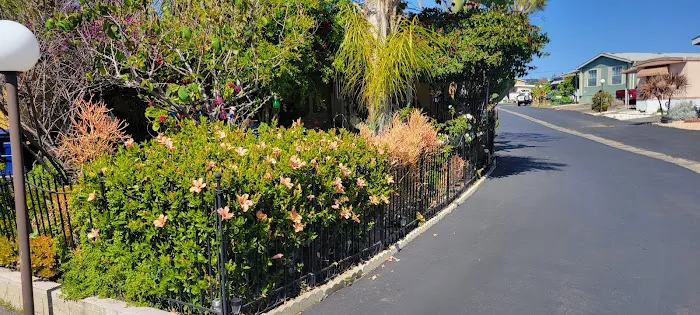 Palace Garden Mobile Home Park Picture 5