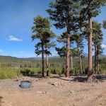 Campsite 11