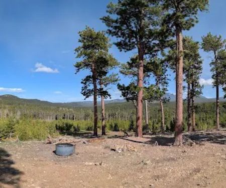 Campsite 11