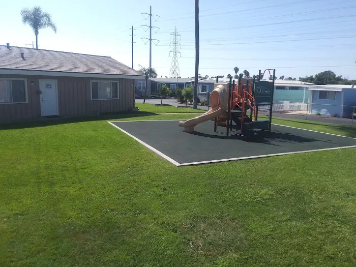 Palms Mobile Estates Picture 5