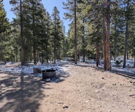 Campsite 22