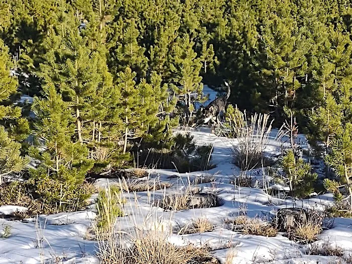 Campsite 13 Picture 8