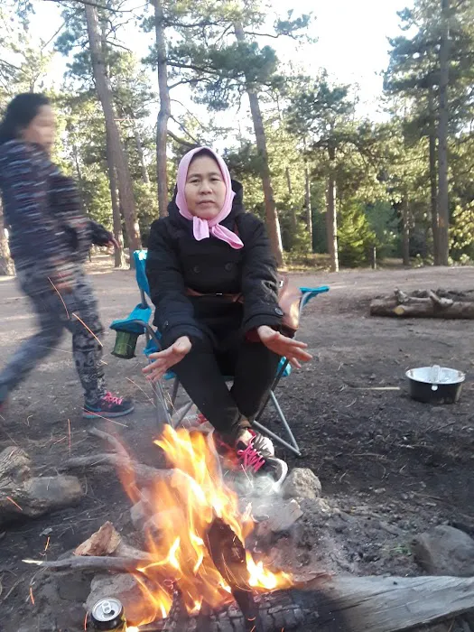 Rock Springs Campground Picture 4