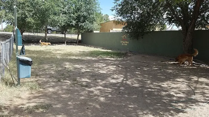 El Paso West RV Park Picture 6