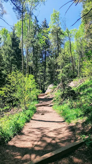 Devils Head Campground Picture 4