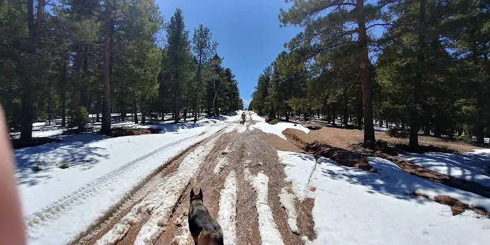 Devils Head Campground Picture 8