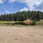 Rampart Range Campsite 86