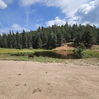 Rampart Range Campsite 86 ico