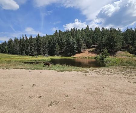 Rampart Range Campsite 86