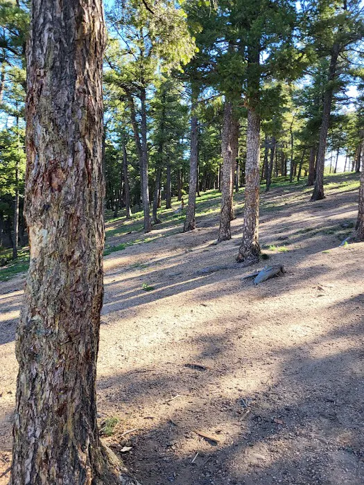 Rampart Range Campsite 86 Picture 4