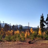 Campsite 9 ico
