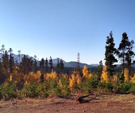 Campsite 9
