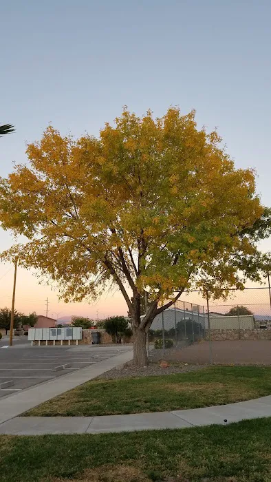 Palm Desert Mobile Home Park Picture 5