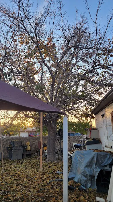 Turf Mobile Home Park Picture 1