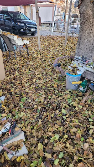 Turf Mobile Home Park Picture 9