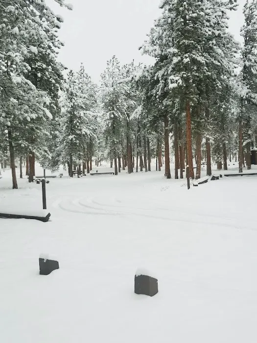Meridian Campground Picture 8