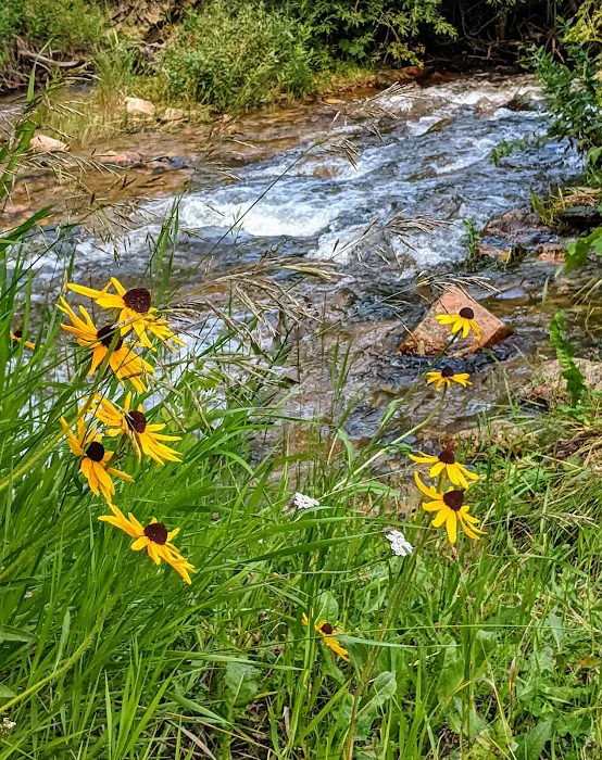 Deer Creek Campground Picture 1