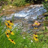 Deer Creek Campground ico