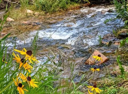 Deer Creek Campground