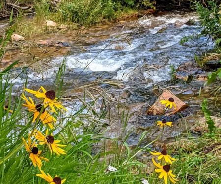 Deer Creek Campground