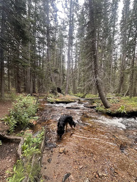 Deer Creek Campground Picture 6
