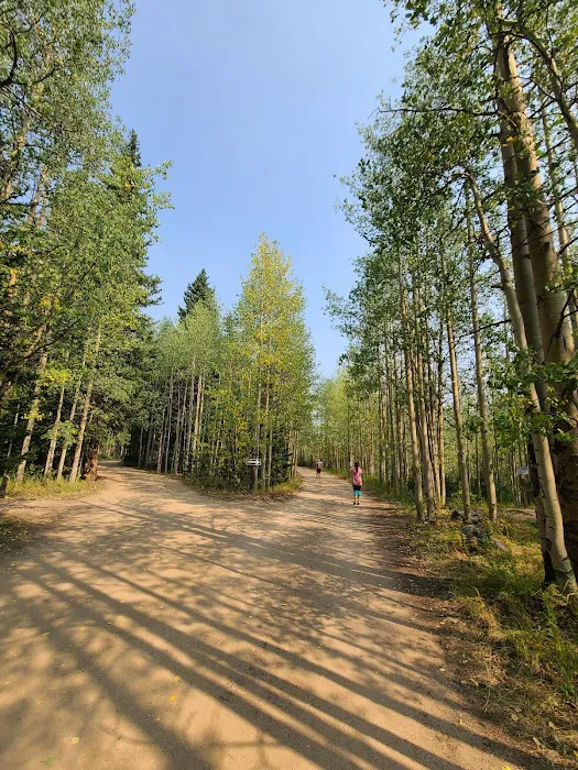 Clear Lake Campground Picture 8