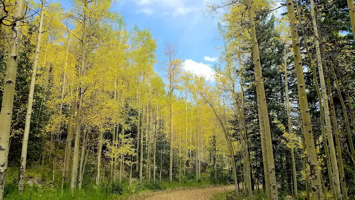 Clear Lake Campground Picture 9