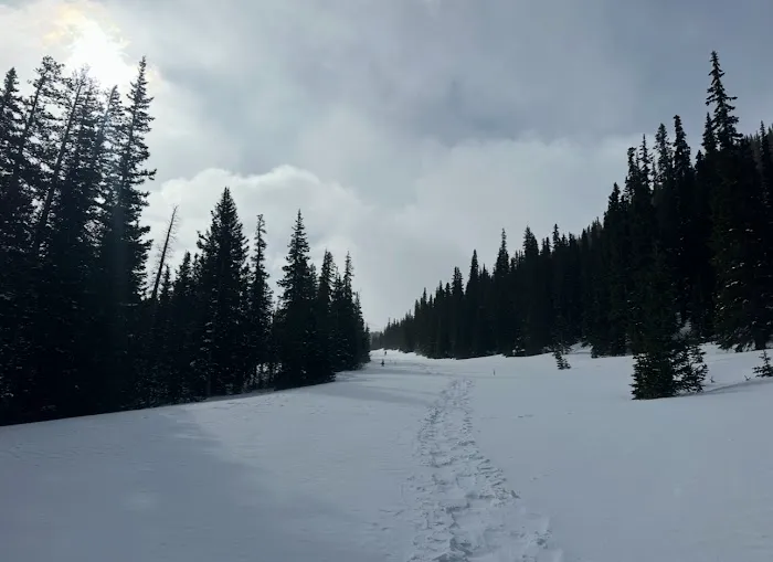 Guanella Pass Campground Picture 3