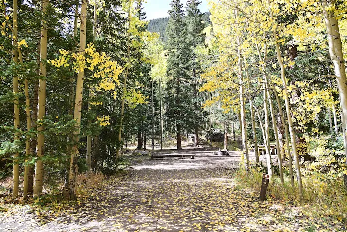 Guanella Pass Campground Picture 7