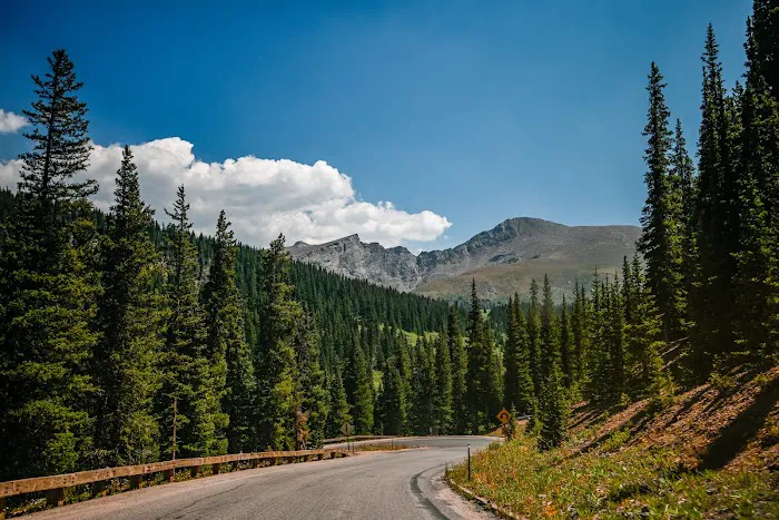 Guanella Pass Campground Picture 6