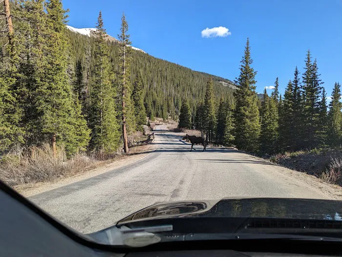 Guanella Pass Campground Picture 2