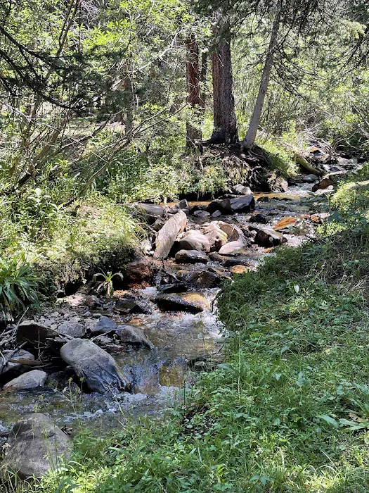 Guanella Pass Campground Picture 8