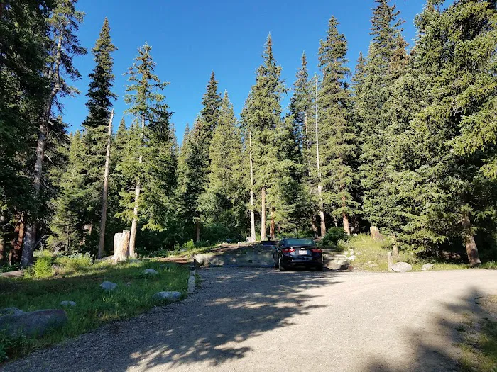 Guanella Pass Campground Picture 9